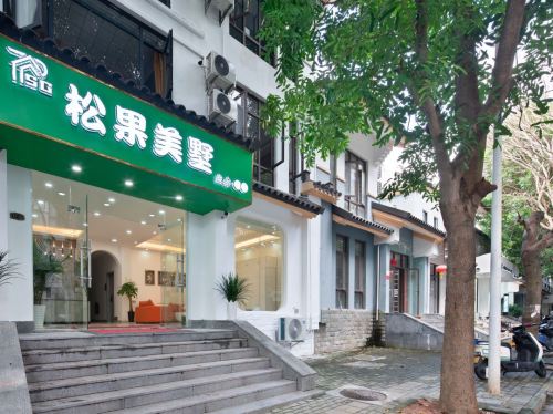 三亚松果美墅(三亚国际免税城店)