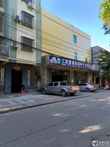 三亚崖城家渊种子农药店