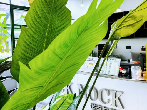 儋州海岛骑驴驿站