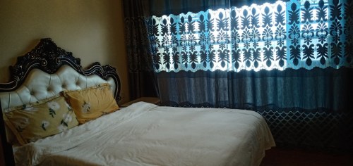 房东丽丽姐公寓(纬十路1号分店)
