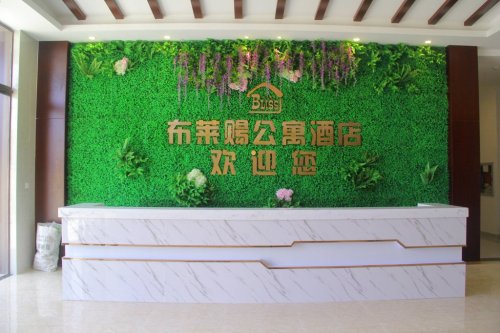 布莱赐公寓(万宁王府井店)
