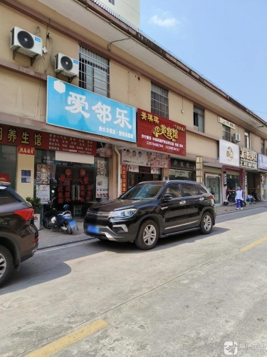 白沙凤凰爱玲乐