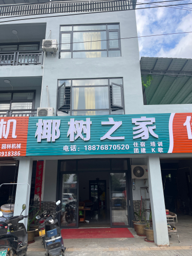 椰树之家