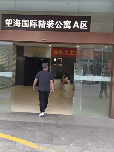 望海国际精装公寓A区(大英路店)