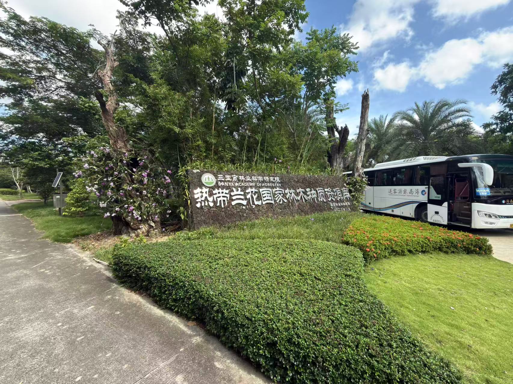 近自然保存展示馆的假山与兰花