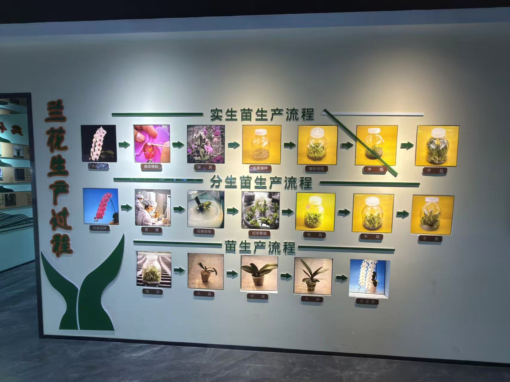 「石斛缘」植物标牌