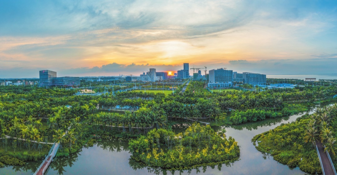 三亚晨山夕海度假别墅(鹿鸣路分店)到底值不值得去？2026年三亚旅行体验报告