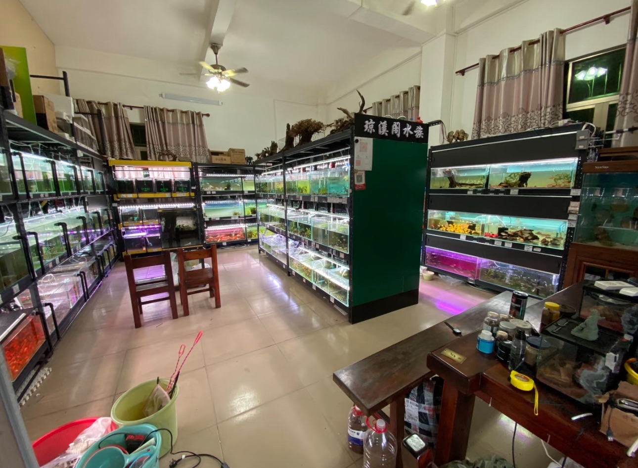 清雅主题酒店(三亚湾凤凰岛胜利购物广场店)全方位解析：三亚旅游深度攻略