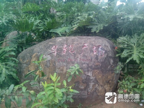 三亚忆游尤近精致体验客栈全攻略：2026年门票、交通与住宿指南