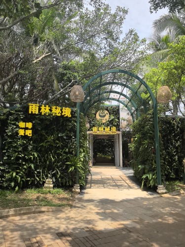 阿丽诗·雨林秘境