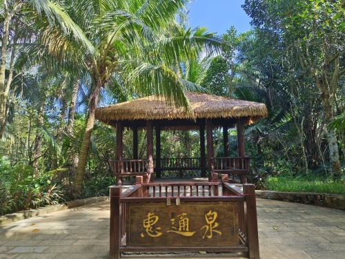 三亚之旅不可错过：三亚悦屋青年旅舍深度体验指南