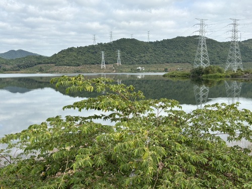 三亚自由行攻略：从和家旅租出发的经典路线（2026）