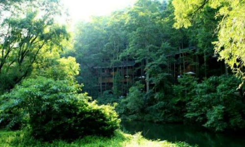 三亚原野海景度假公寓(三亚湾店)游玩全攻略——门票、交通、住宿一文搞定