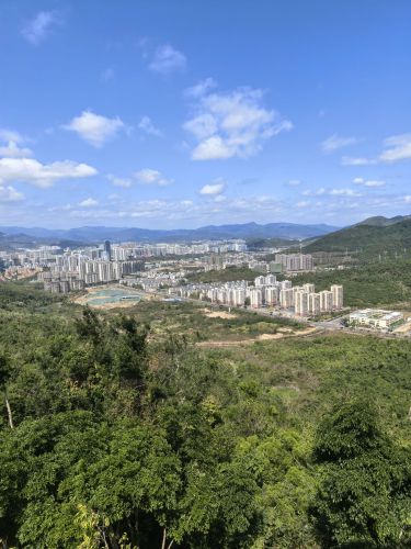 三亚之旅不可错过：三亚废物大本营青年旅舍深度体验指南（202606181905）