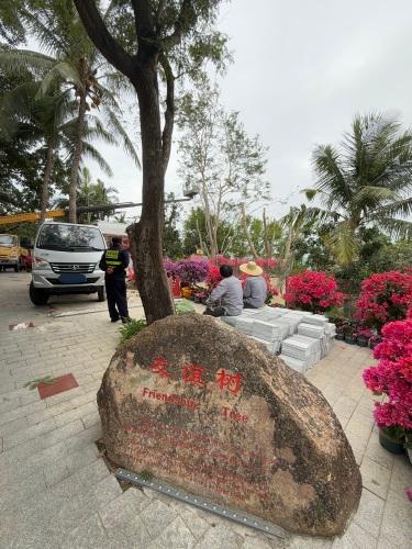 2026年三亚旅游必读：友谊树周边玩法推荐