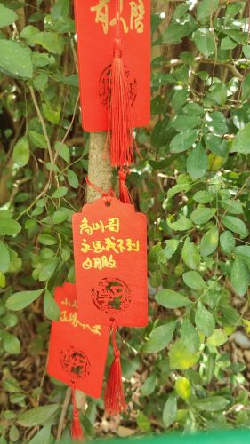 三亚自由行攻略：从三亚琅珀影音民宿(三亚凤凰国际机场店)出发的经典路线（202606171820）