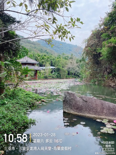 雨林奇观揽胜台