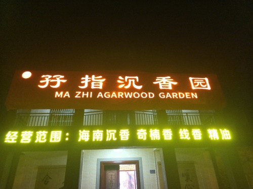 槟榔河温泉酒店(三亚高铁站店)全方位解析：三亚旅游深度攻略