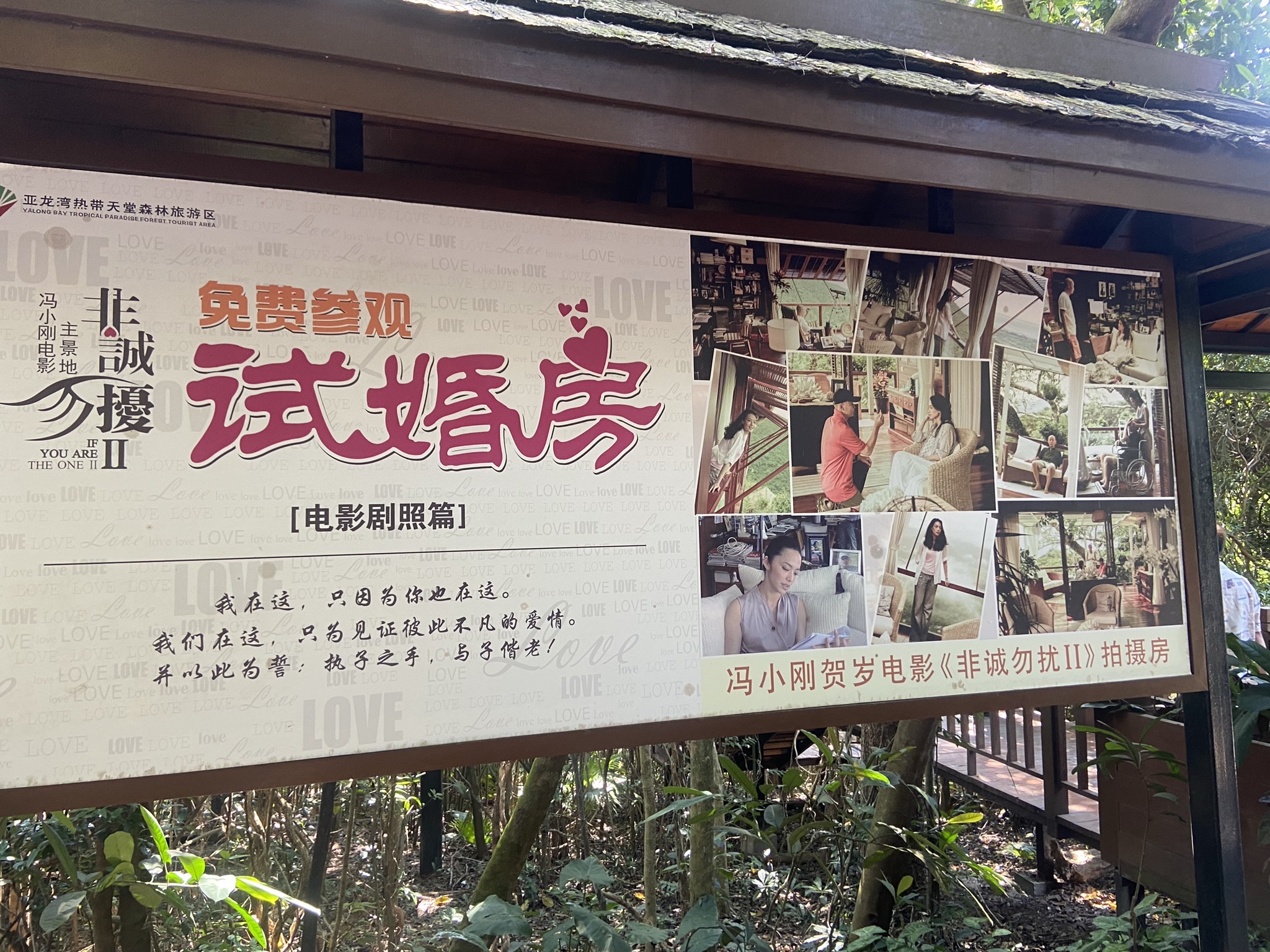 三亚静澜假日海景设计美宿(三亚湾凤凰机场店)攻略：2026年三亚必去景点与旅行贴士