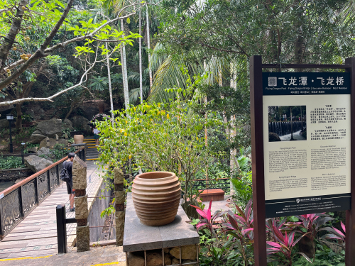 飞龙桥