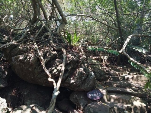 三亚之旅不可错过：三亚湾缘缘缘主题美宿(椰梦长廊店)深度体验指南