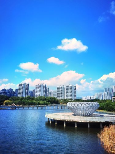 三亚吉阳湿地公园深度体验指南：不可错过的自然绿洲