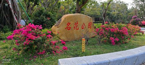 名花公园游玩全攻略——门票、交通、住宿一文搞定