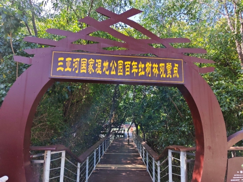 三亚河国家湿地公园百年红树林观景点