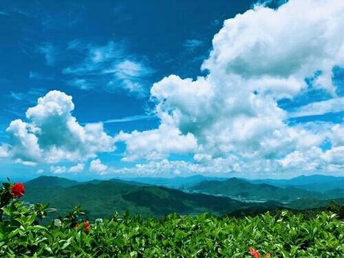 来三亚别只知道打卡——三亚后海酒店(蜈支洲岛店)的宝藏玩法（2026攻略）