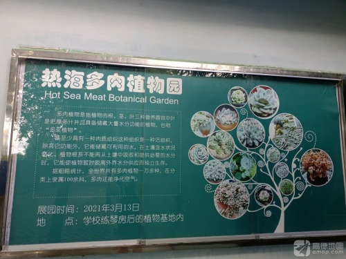 海南热带海洋学院-热海多肉植物园