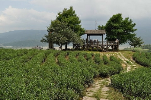 三亚之旅不可错过：海棠湾小岛别墅(海棠北路4号分店)深度体验指南
