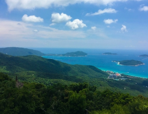 美丽梧桐观景台