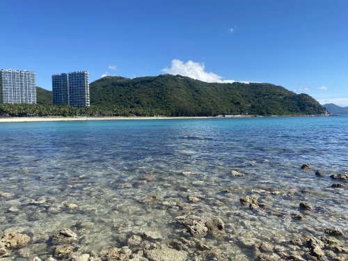 小东海