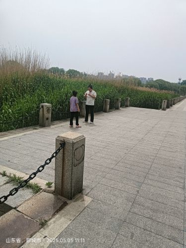 三亚自由行攻略：从三亚雅豪精品旅租出发的经典路线（2026）