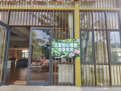 三亚初心莲池共享农庄