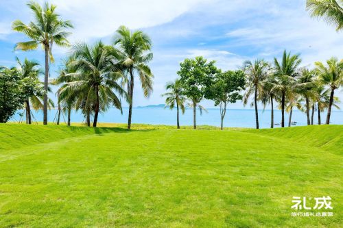 凯悦碧海草坪(礼成旅行婚礼)