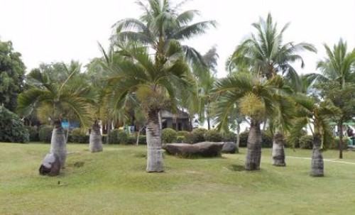 2026年三亚旅游必读：三亚好心情度假美宿(国际免税城店)周边玩法推荐