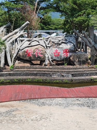 兰花世界