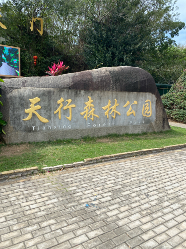 天行森林公园-南山瀑