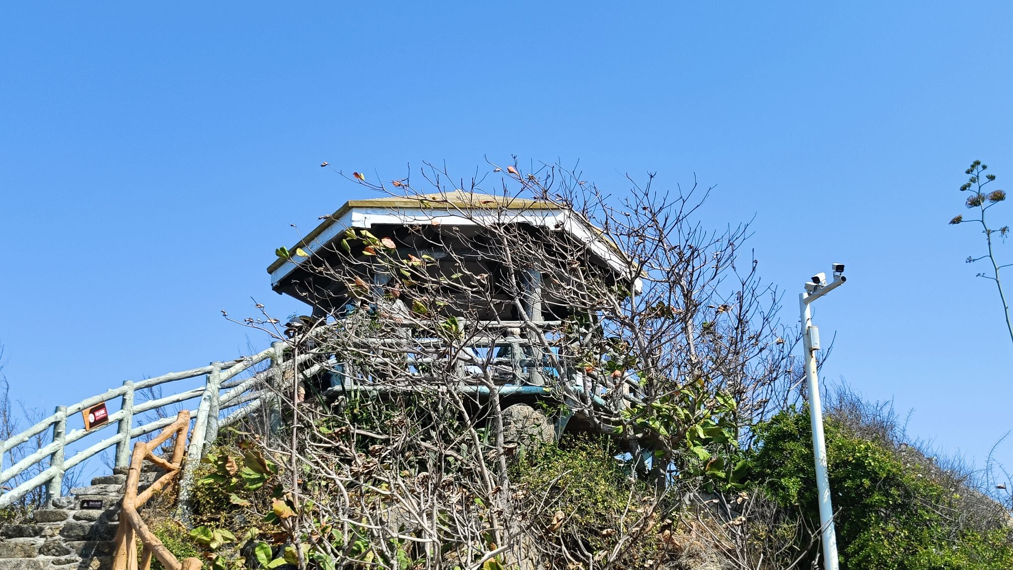 三亚旅游深度攻略：顺心苑旅租全方位解析