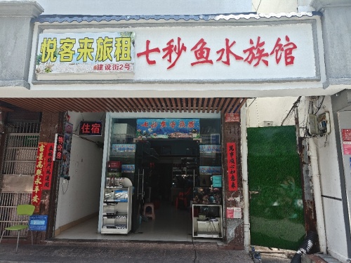 2026三亚自由行攻略：从金辰旅租出发的经典路线