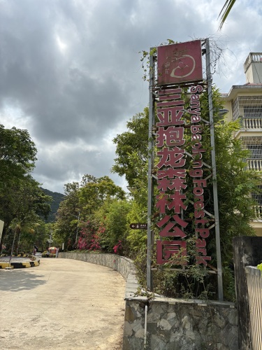三亚抱龙国家森林公园