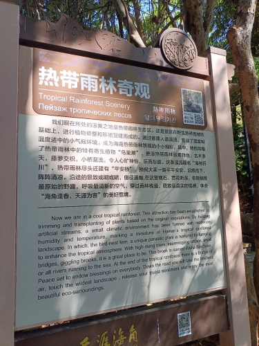 热带雨林奇观