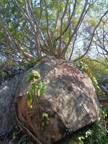 探秘漫居精品民宿(南山寺崖州湾科技城店)——三亚最值得打卡的目的地