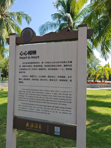 心心相映