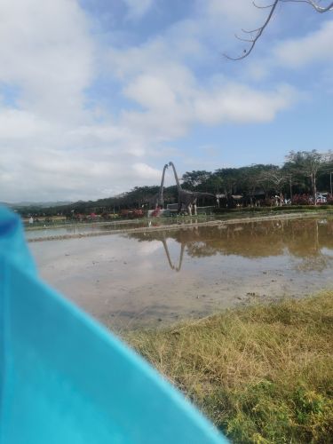 2026三亚自由行攻略：从三亚金浩旅租(原金海旅馆)出发的经典路线