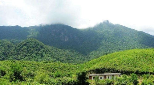 白马岭