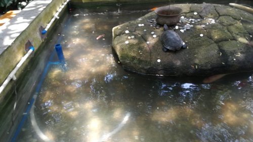 三亚三亚湖林商务旅租(崖城派出所保利崖州湾店)周边游推荐：这些地方也值得一去
