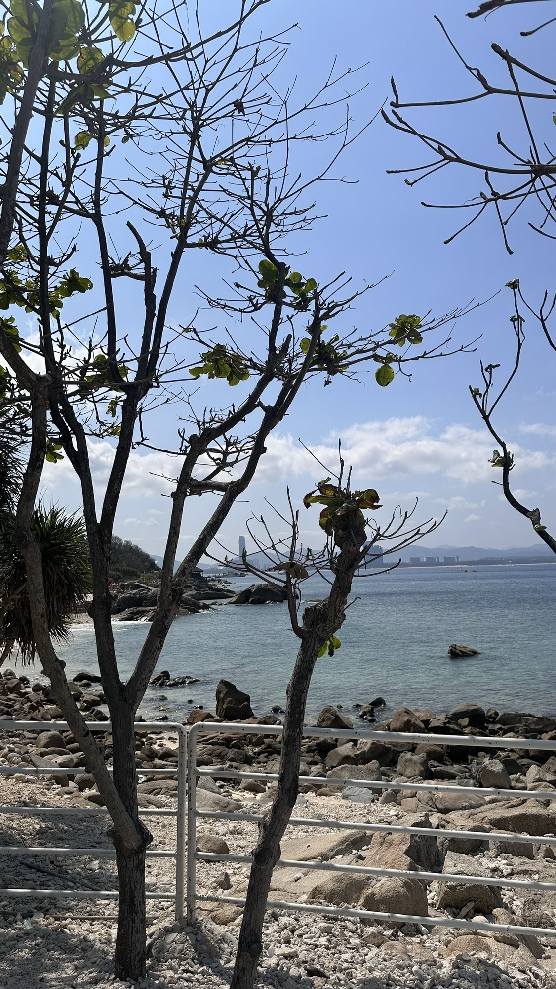 夏季船潜区