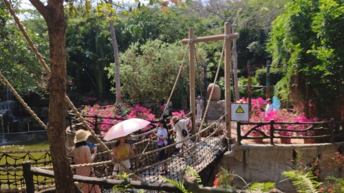 蜈支洲岛旅游风景区-缘桥